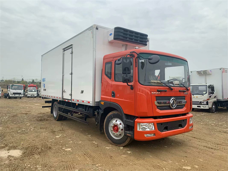 東風(fēng)多利卡D9冷藏車 東風(fēng)多利卡D9冷藏車